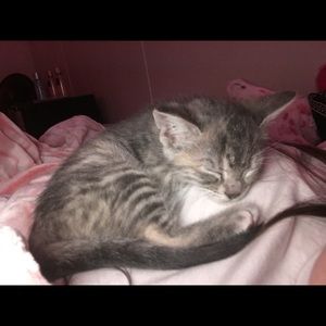 Meet your Posher, Kaydence